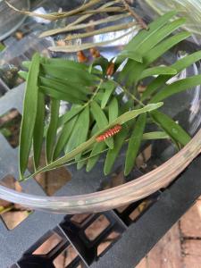 391553848 708033934687900 7878099892223103934 n