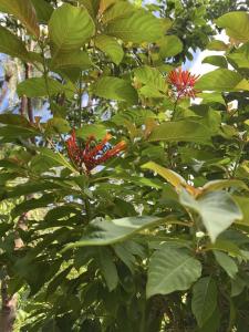 391566599 708033824687911 309018603137663381 n