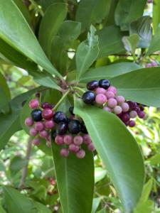 391616164 708033461354614 1580243132677365125 n