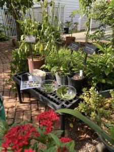 391631722 708036201354340 7432797100202899011 n