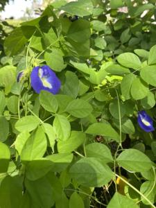 391750196 708033408021286 3831714142510111853 n