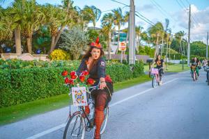 398961710 719863786838248 7512301425537012179 n