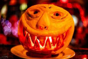 393351573 10224364034394939 3804001822232286046 n