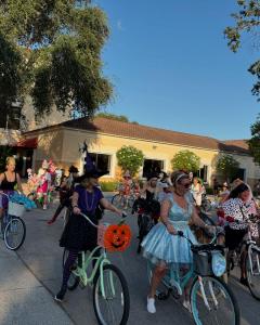 464591252 18444230560069535 157761456010473916 n