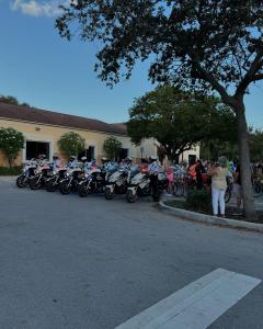 464650396 18444230569069535 1766996002266025852 n