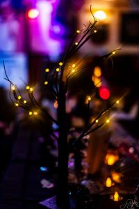 463402629 10226421512310601 6170185859840640202 n