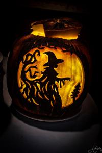 463481881 10226421505390428 7971077541878438974 n